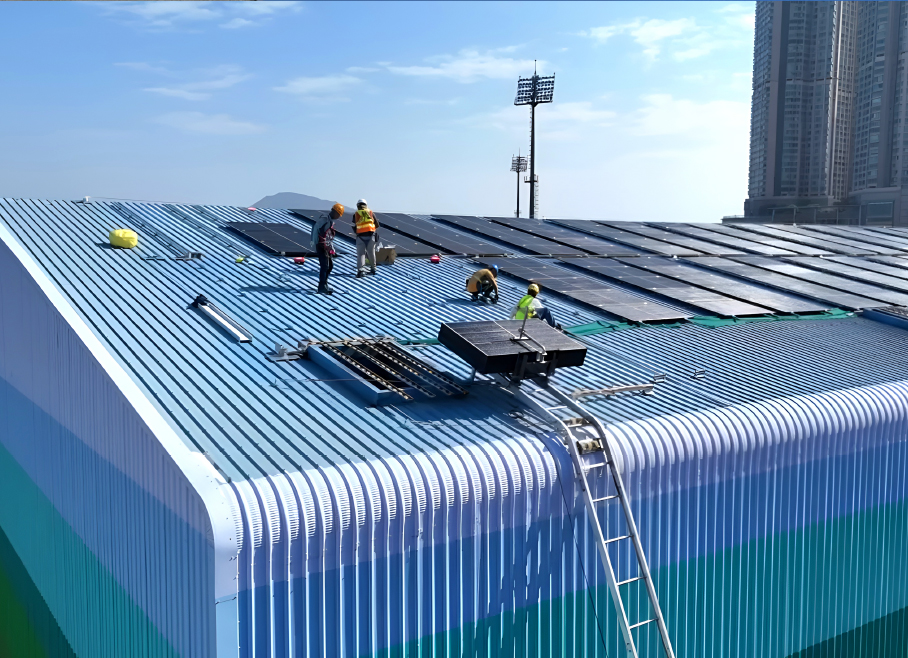 Plug-in Ladder Hoist