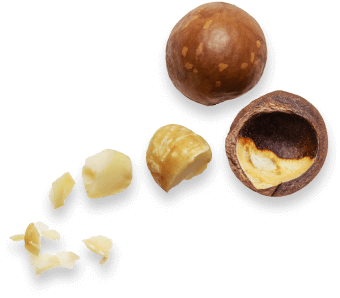 Hazelnuts scattered.