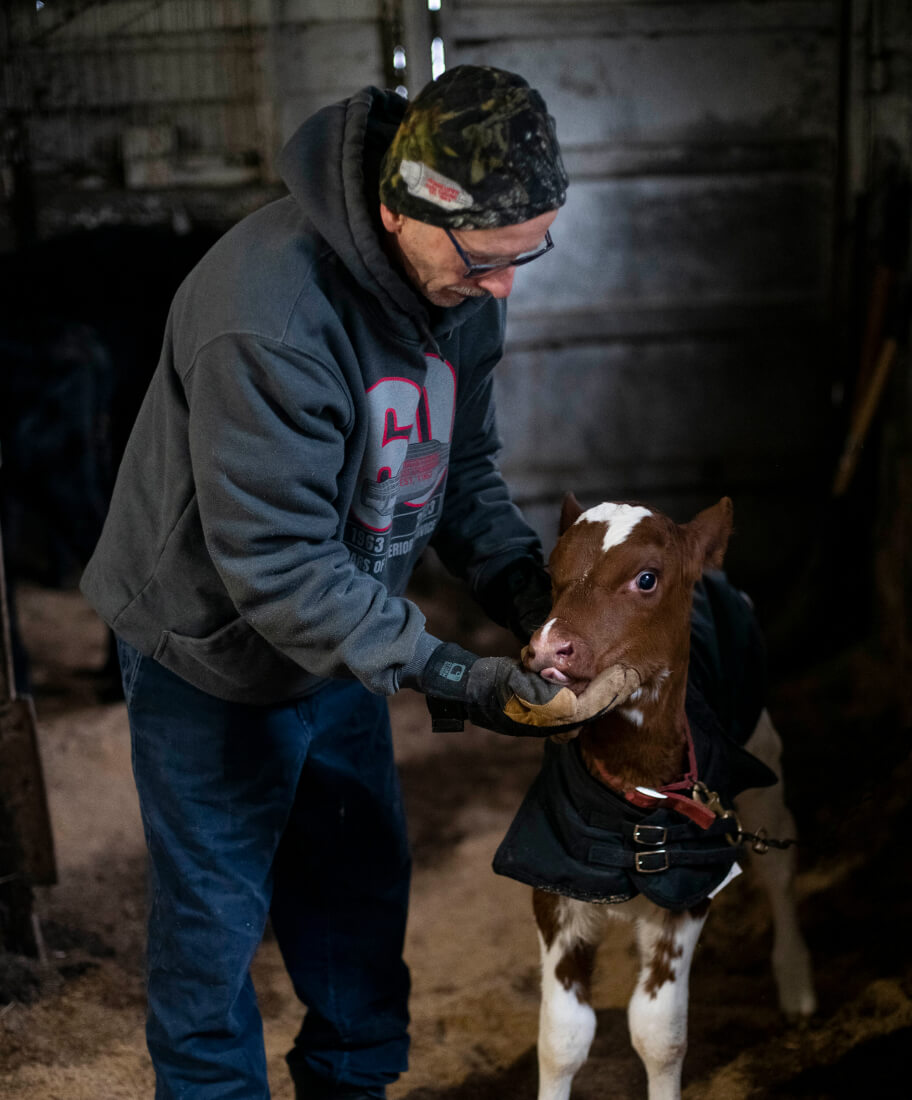 Man standing next to a goat feeding him. 