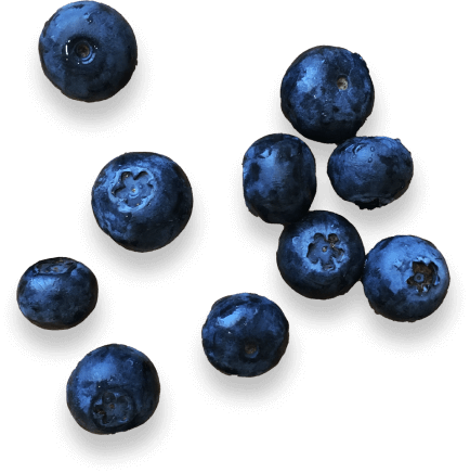 Scattered blueberries.