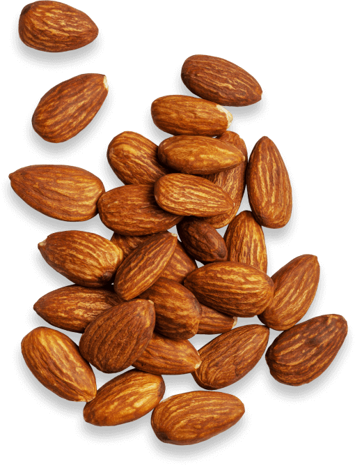 Almonds scattered