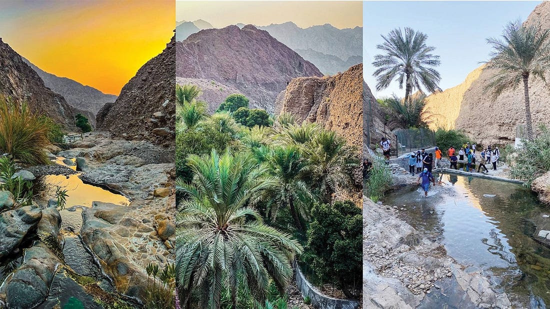 وادي العبادلة» أرض الماء والزرع - الاتحاد للأخبار