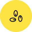 Seeds img