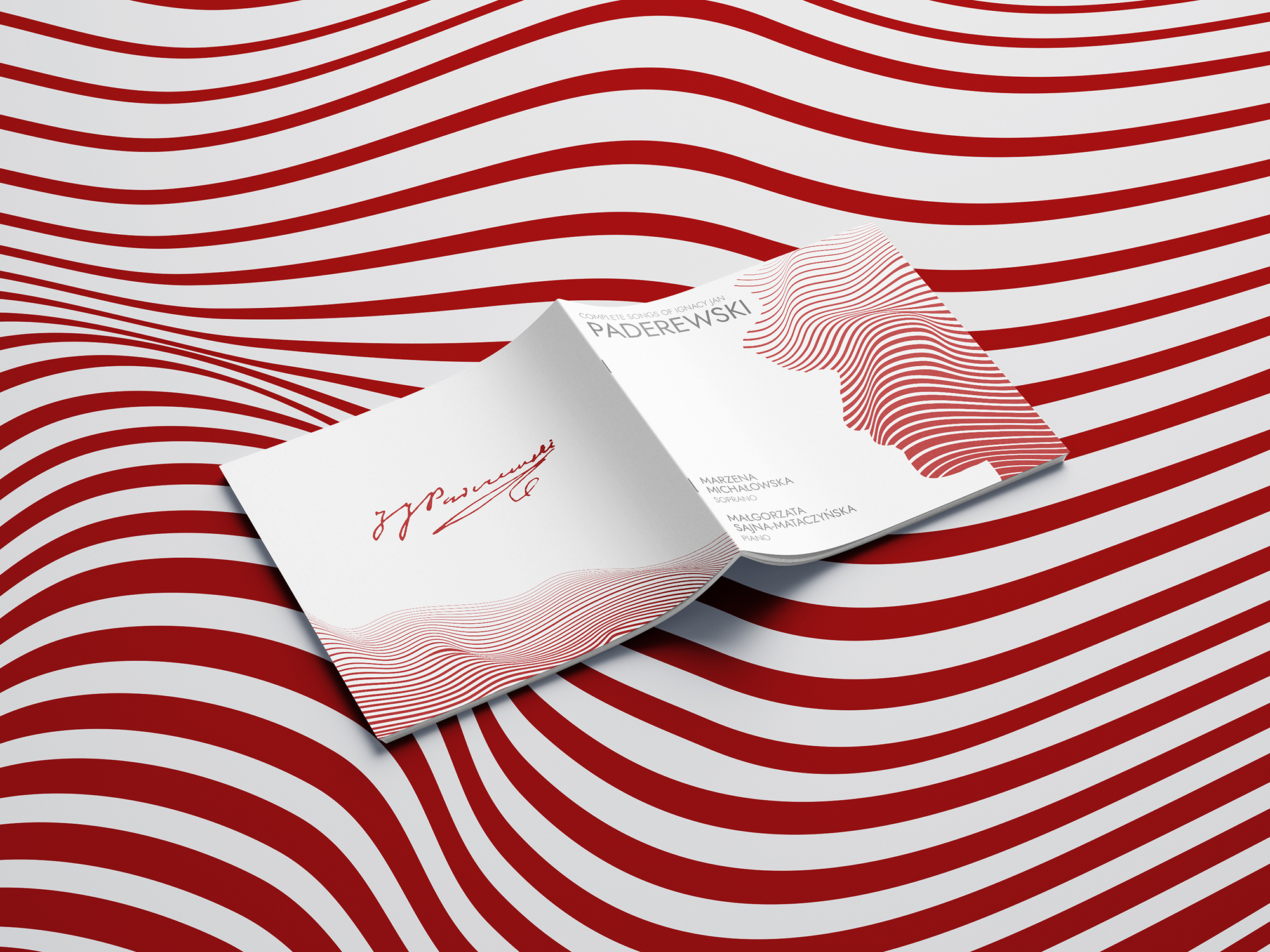 Otwarty, odwrócony booklet na tle falującyh linii.