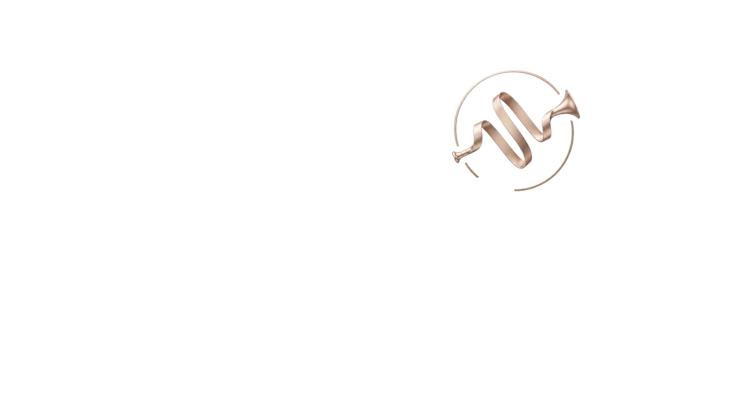 Logo Finness