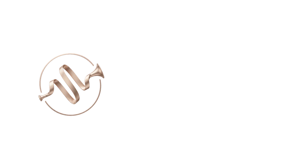 Logo Finness