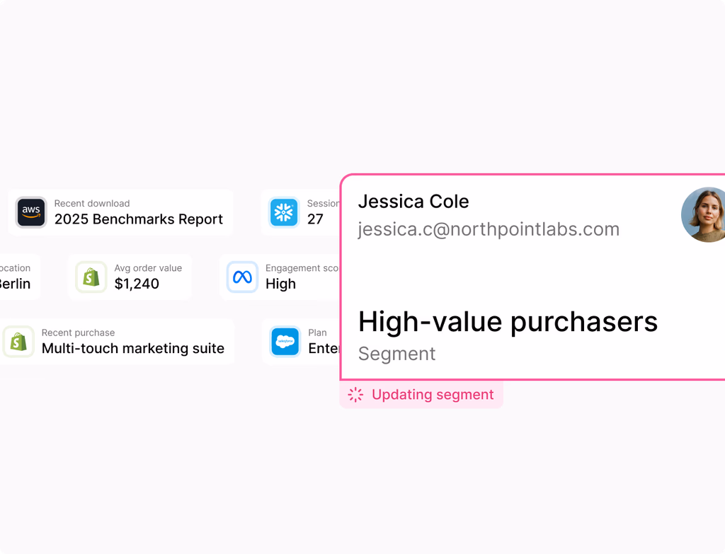 A dashboard showing dynamic audience segments and AI-powered insights for unified customer data.