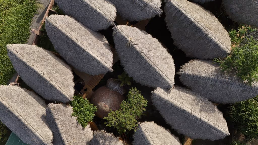 drone-temazcal-treehouses