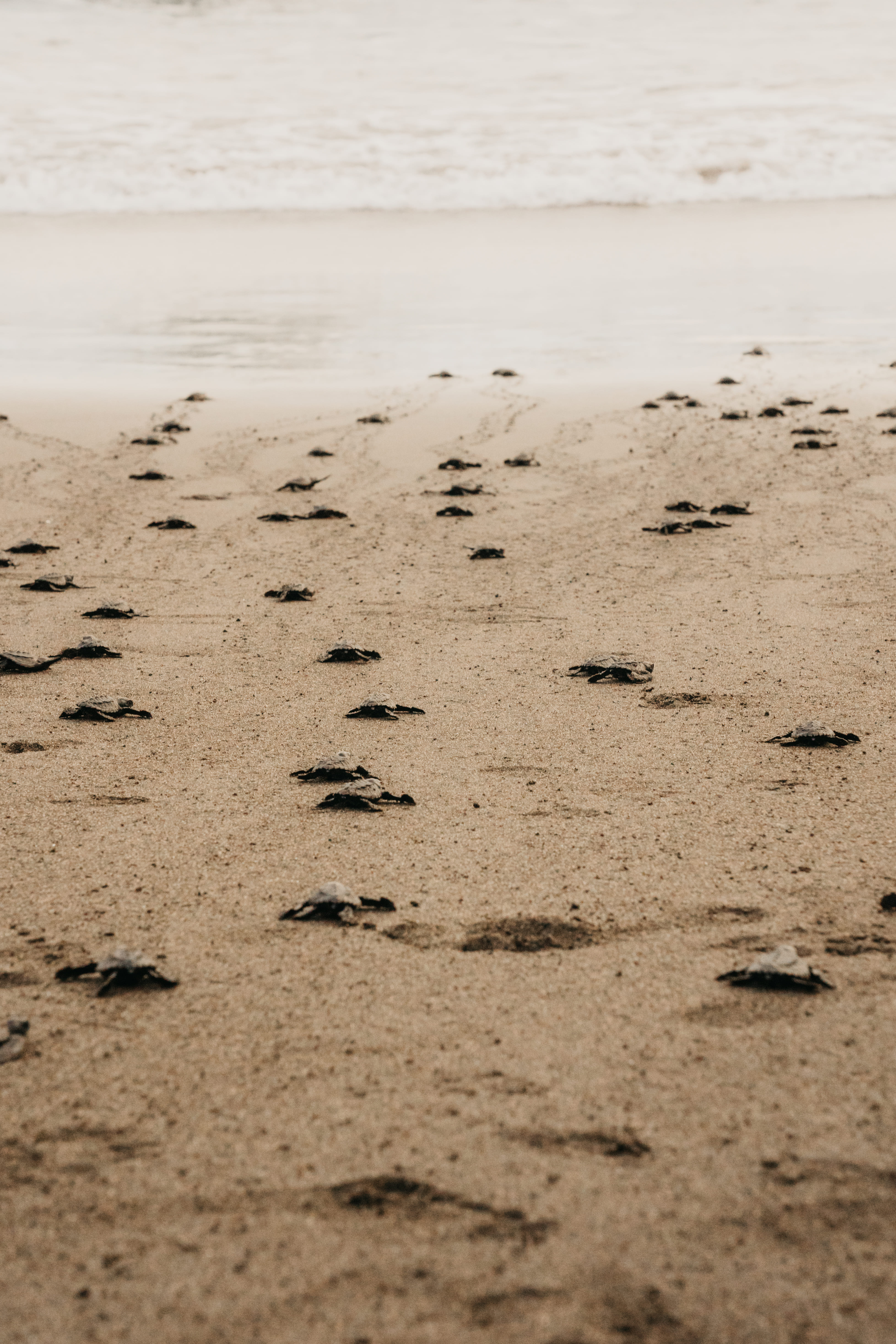 Mizata Foundation October Updates