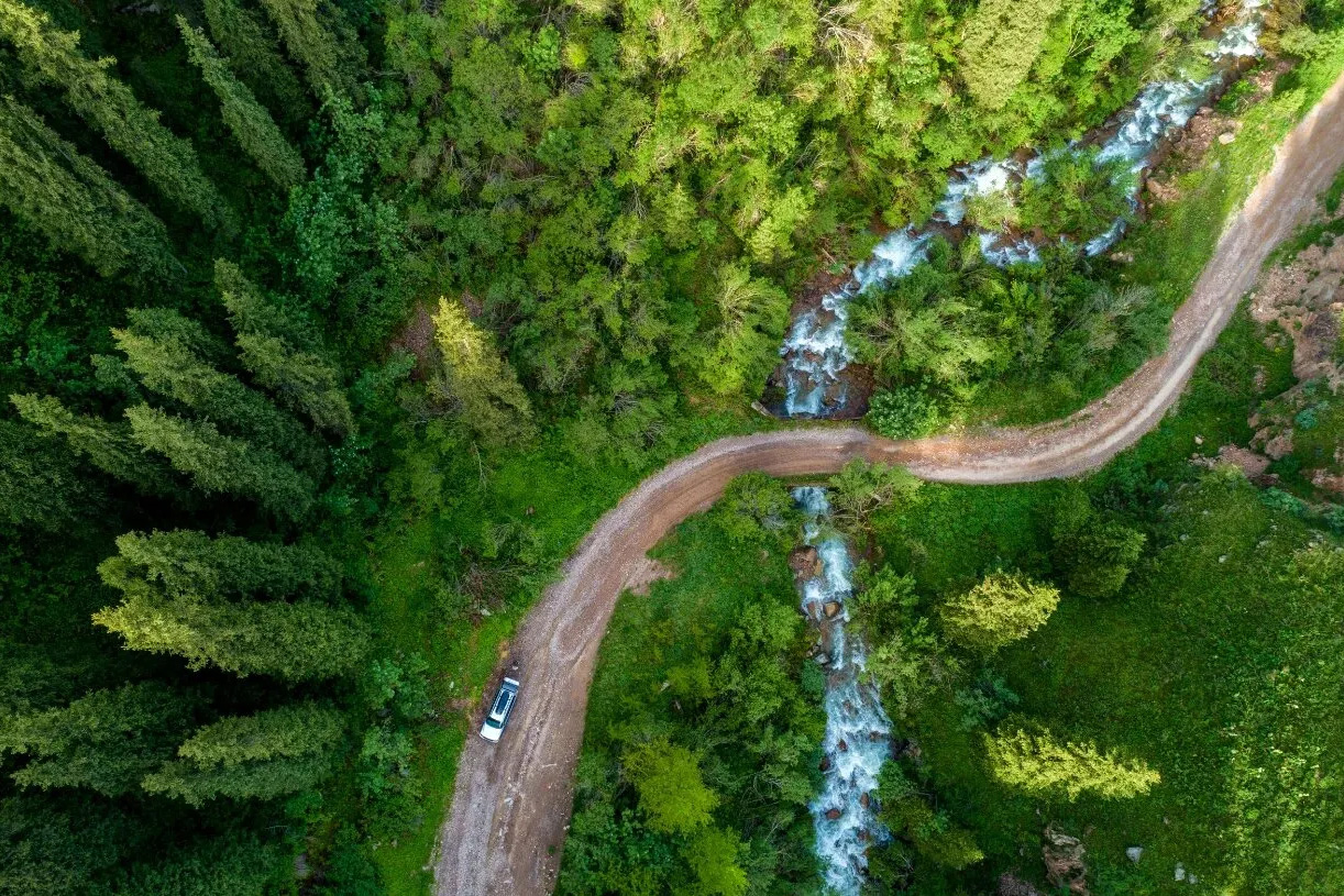 Safety Culture Development