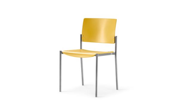 Cache Yellow Wood