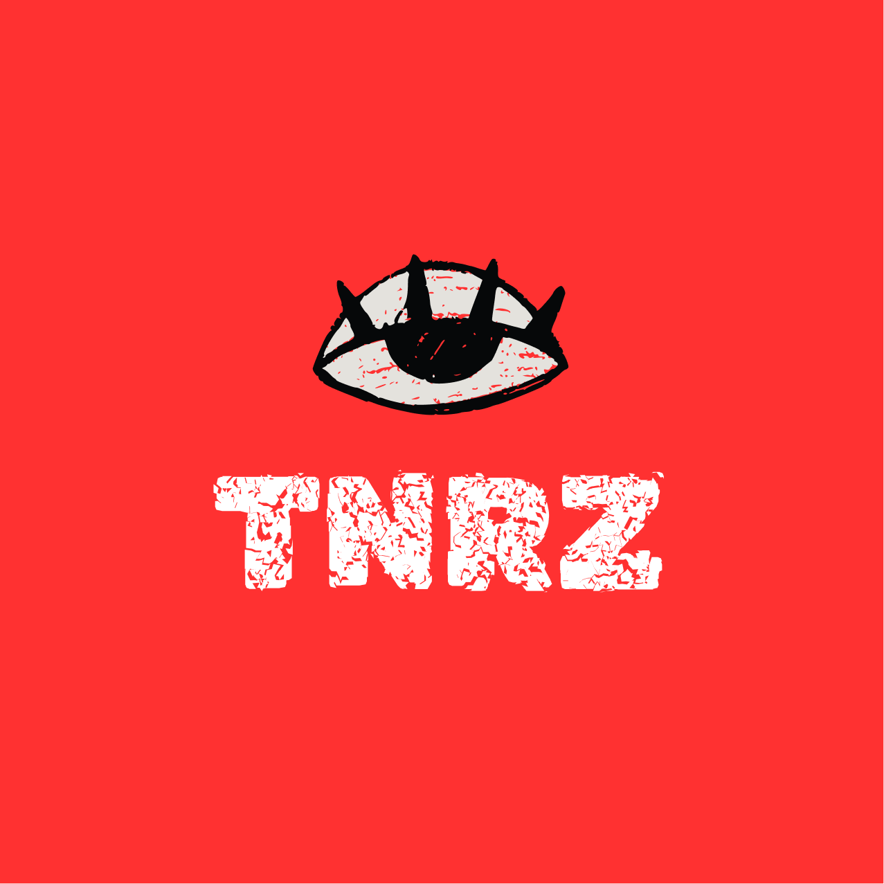 Teenerz logo – Bold, modern wordmark representing a youth-first lifestyle and teen events platform in the UAE