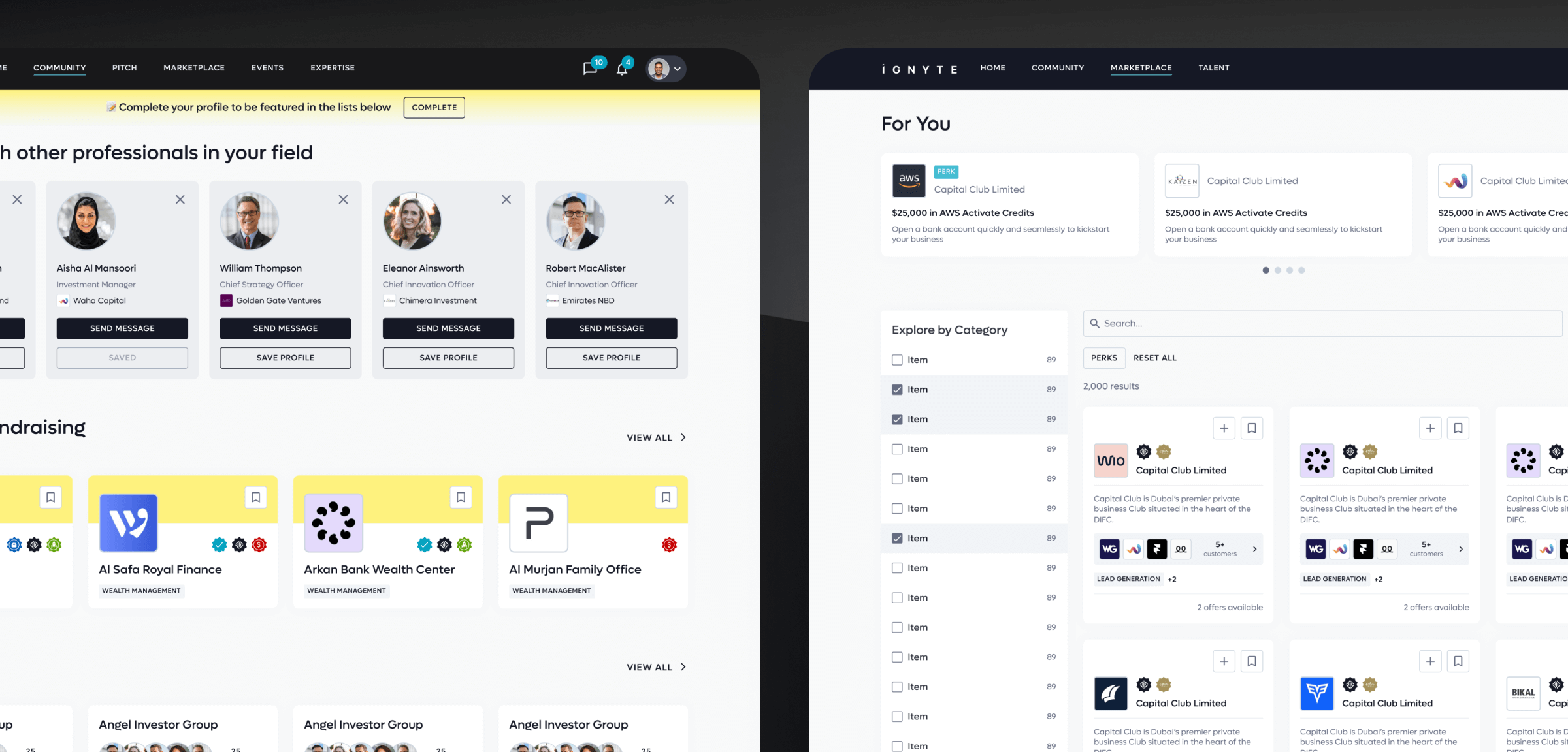 Modular UI for Ignyte app showing Access, Connect, and Grow pillars supporting startup users
