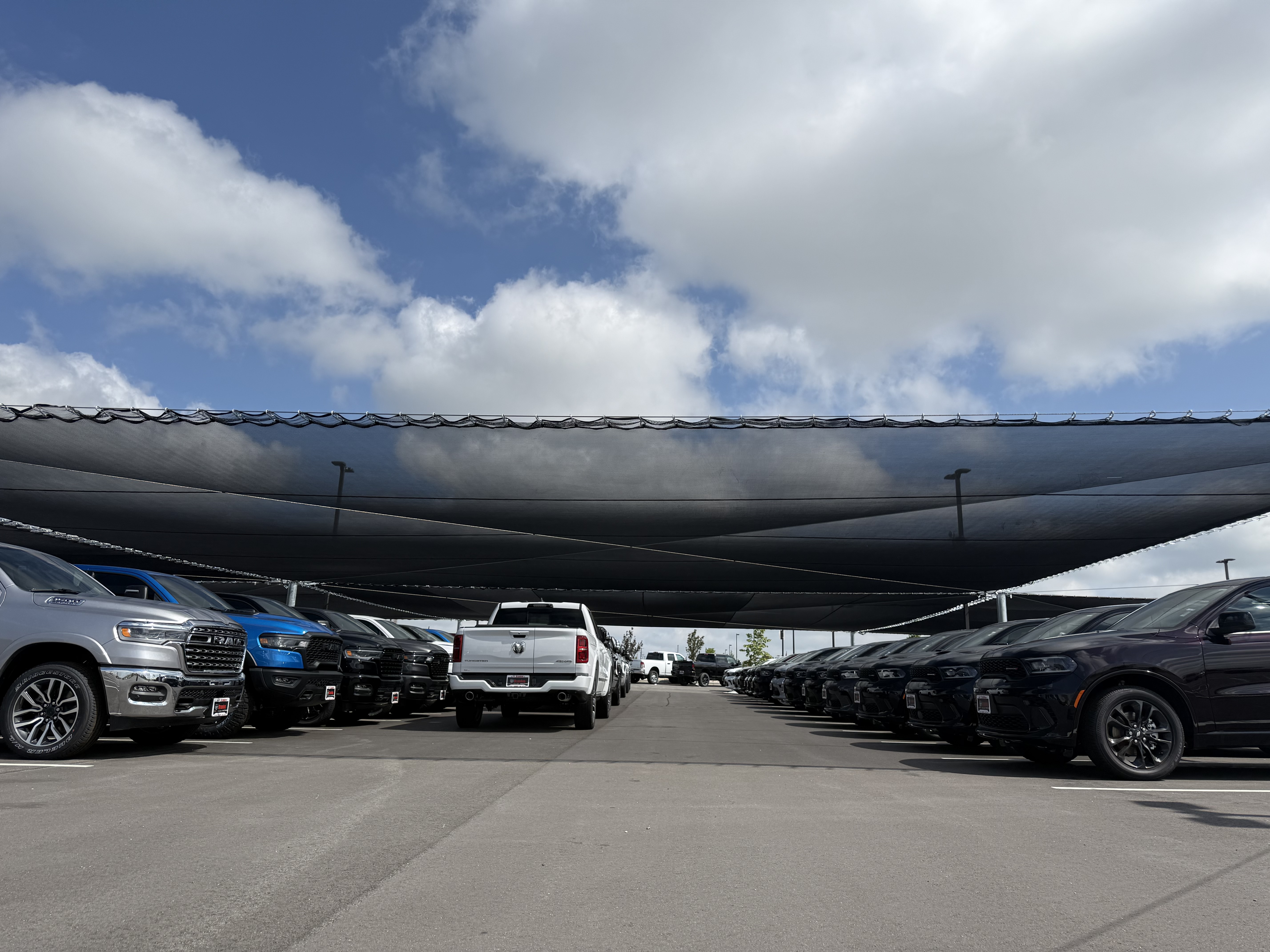 Hail netting over trucks parked in lot