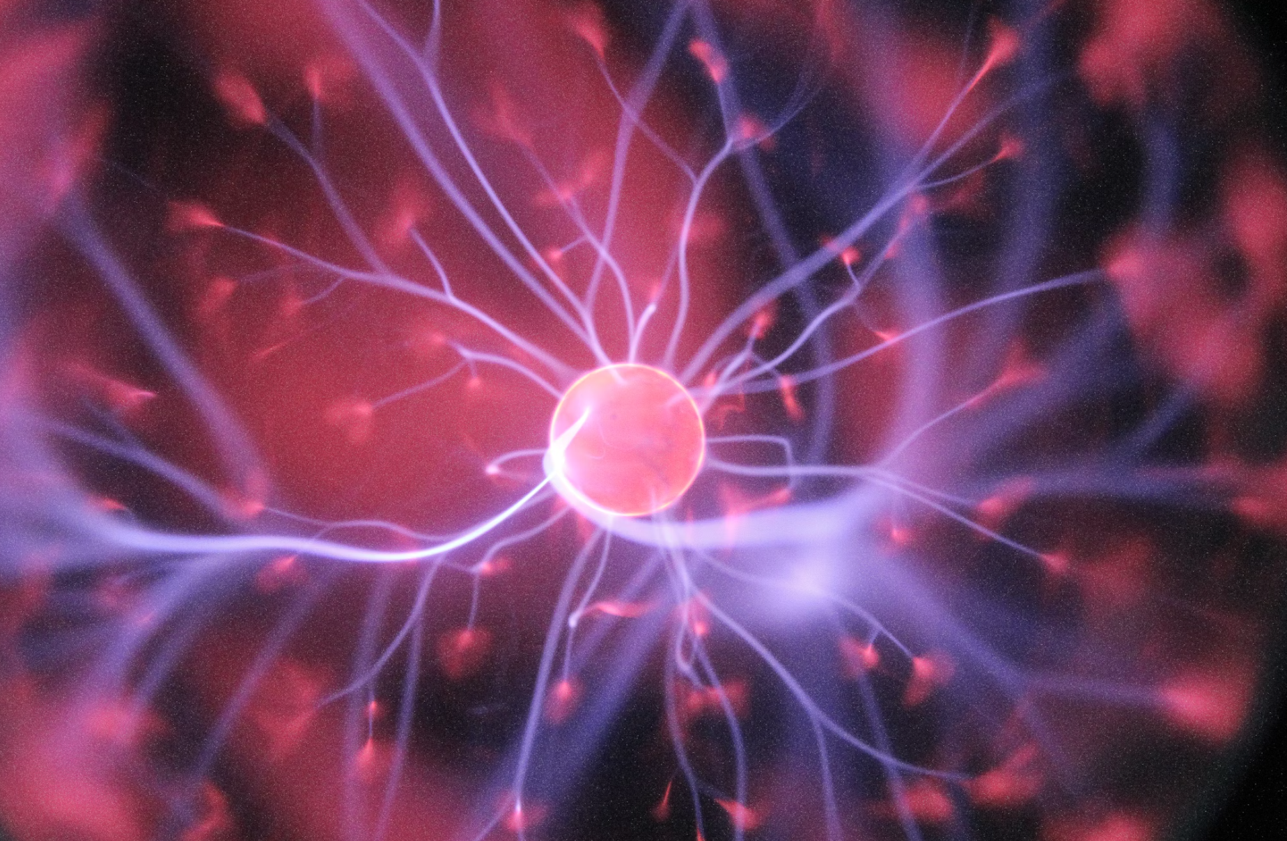 The science behind Ayurvedic 