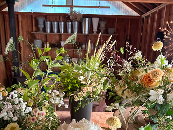 Several bouquets of flowers on a wood work surface.