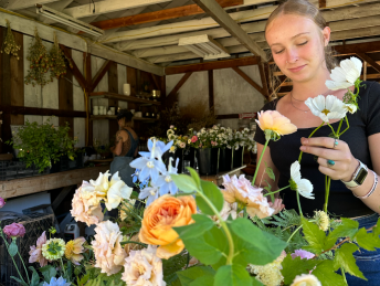 People picking flowers