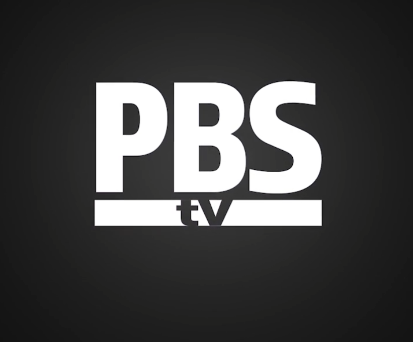 Netflix-Style Learning Docuseries