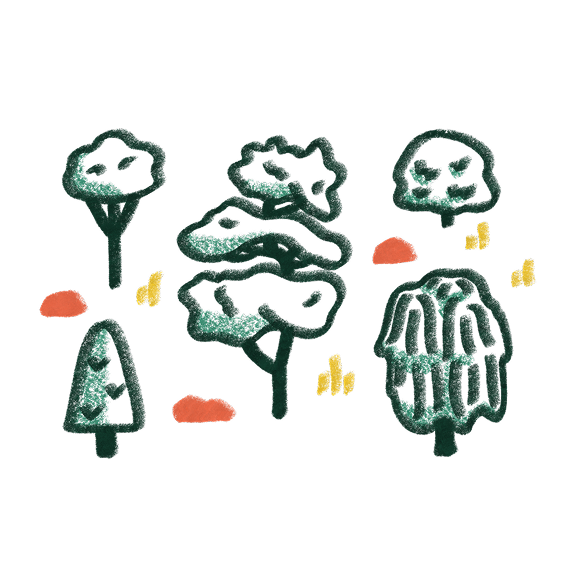 lush forest 