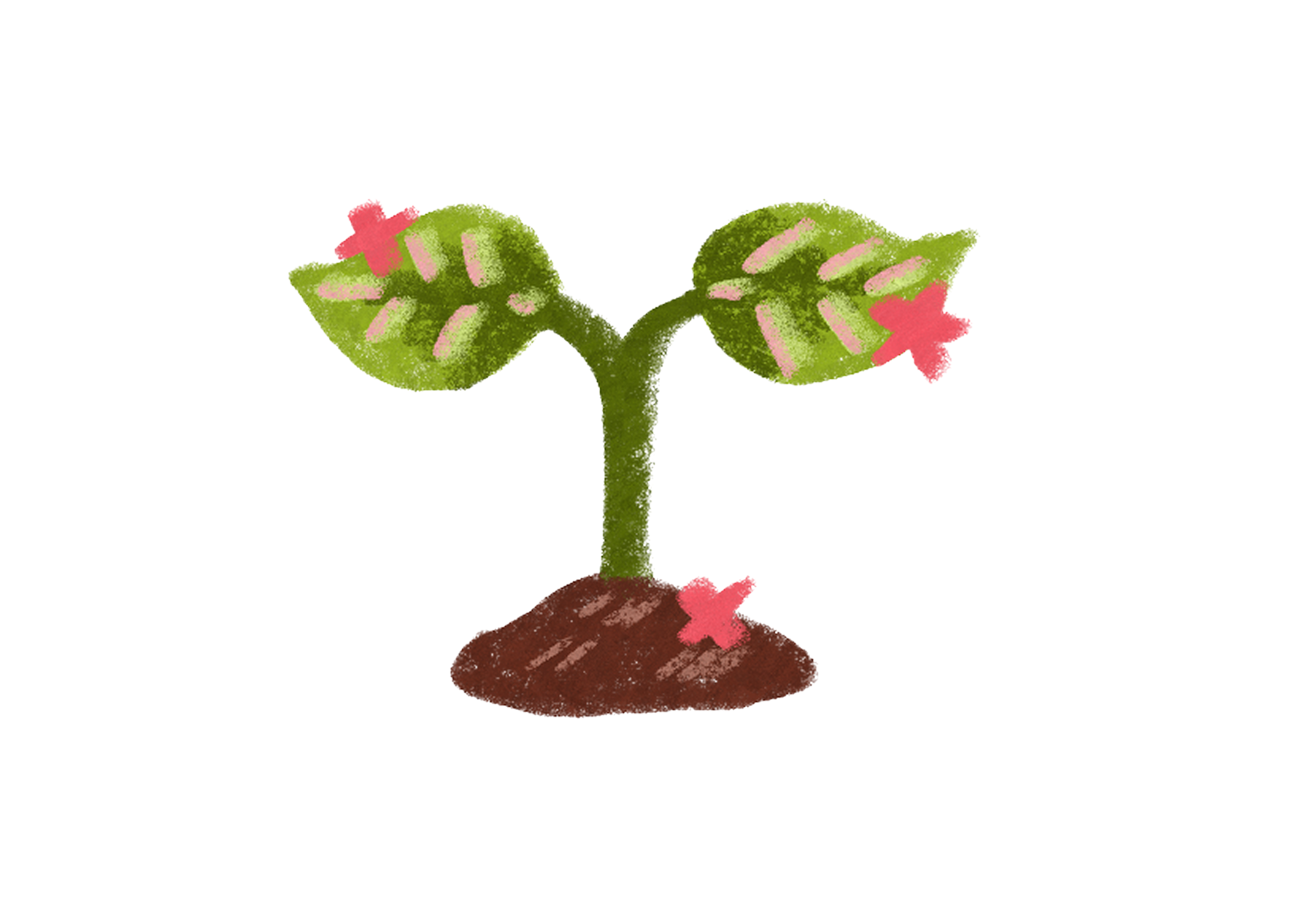 a solo sapling 