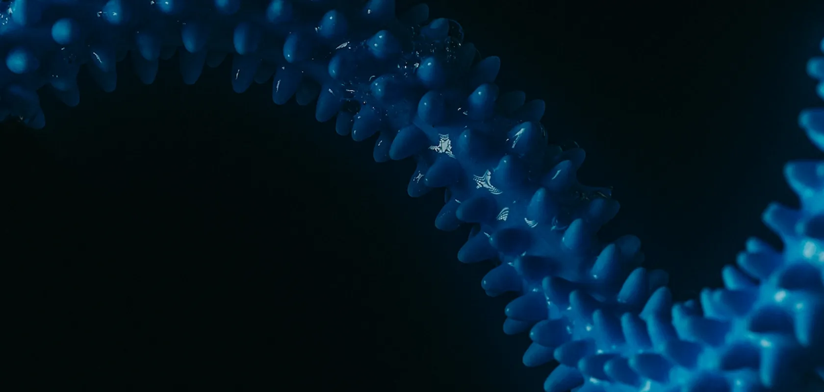 Close-up of a blue, spiky, curved structure against a dark background.