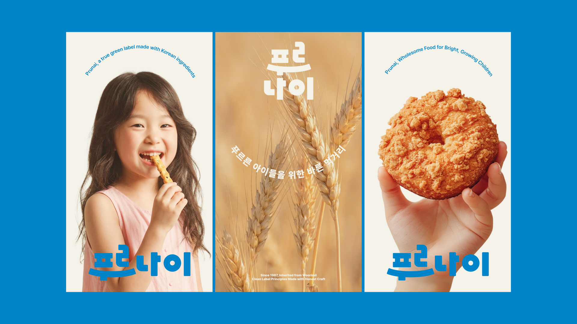 푸르나이 SNS 그래픽