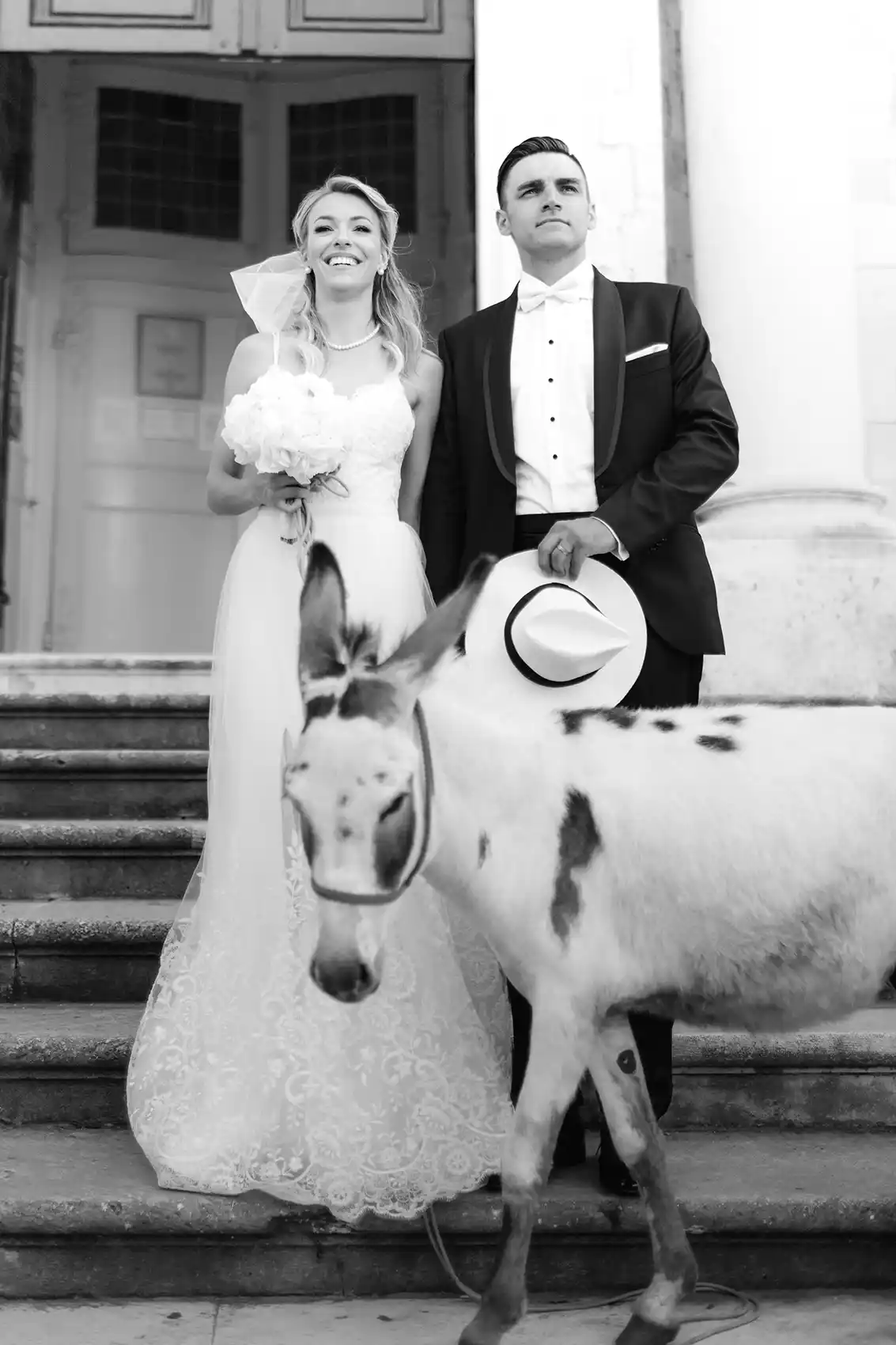 donkey-wedding