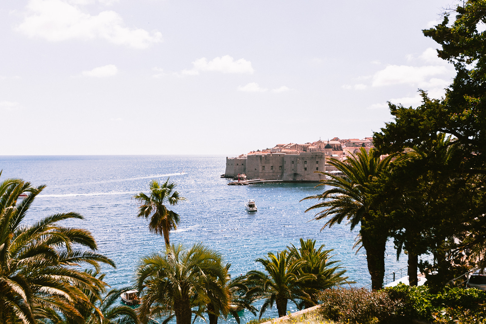 Elevated view of Dubrovnik's Old Port peninsula and city walls across the sea, framed by palm trees