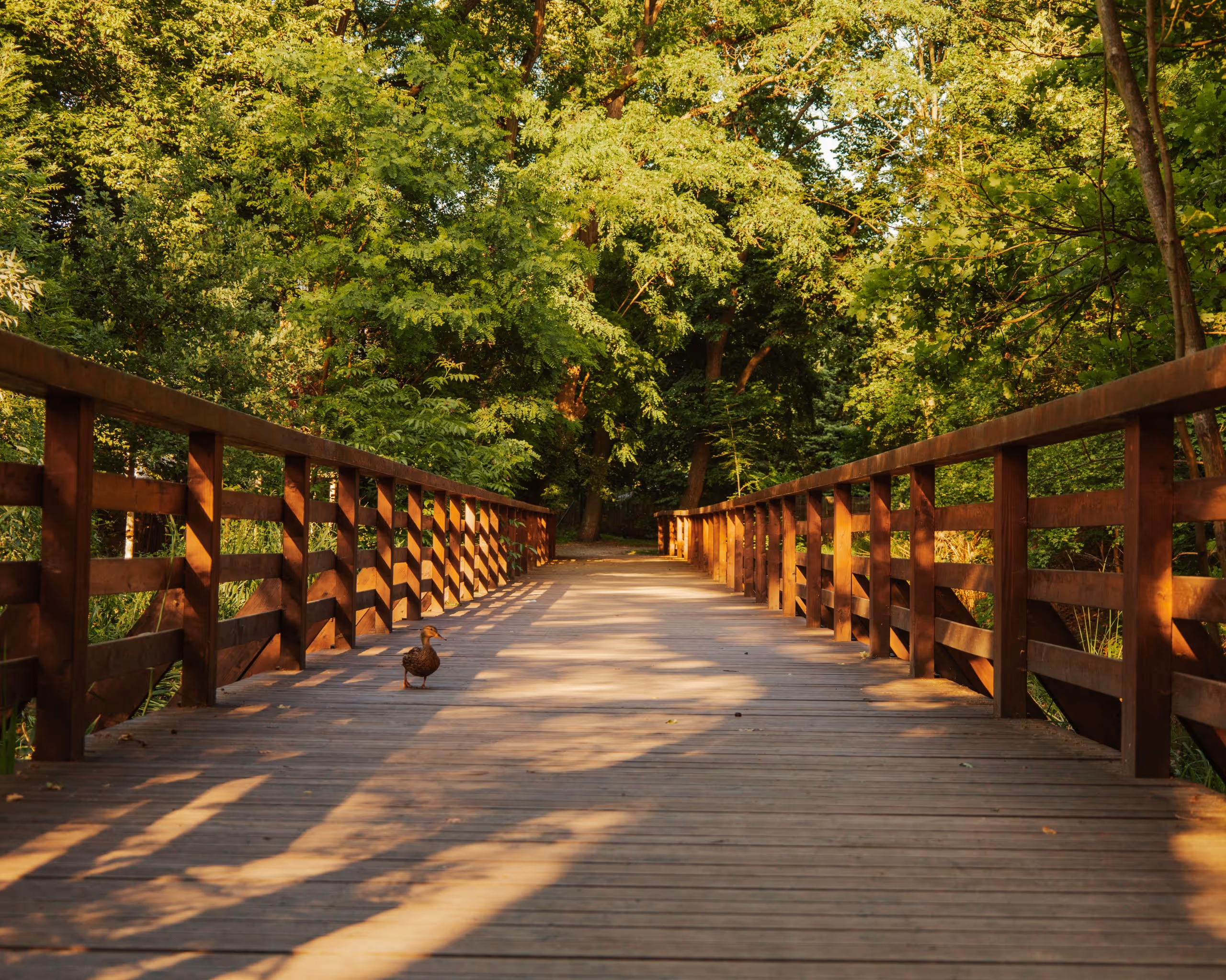 Park „Czarna Woda”