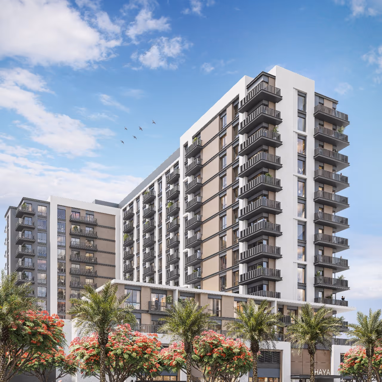 NSHAMA "Haya on the Park"; Nshama; Town Square;