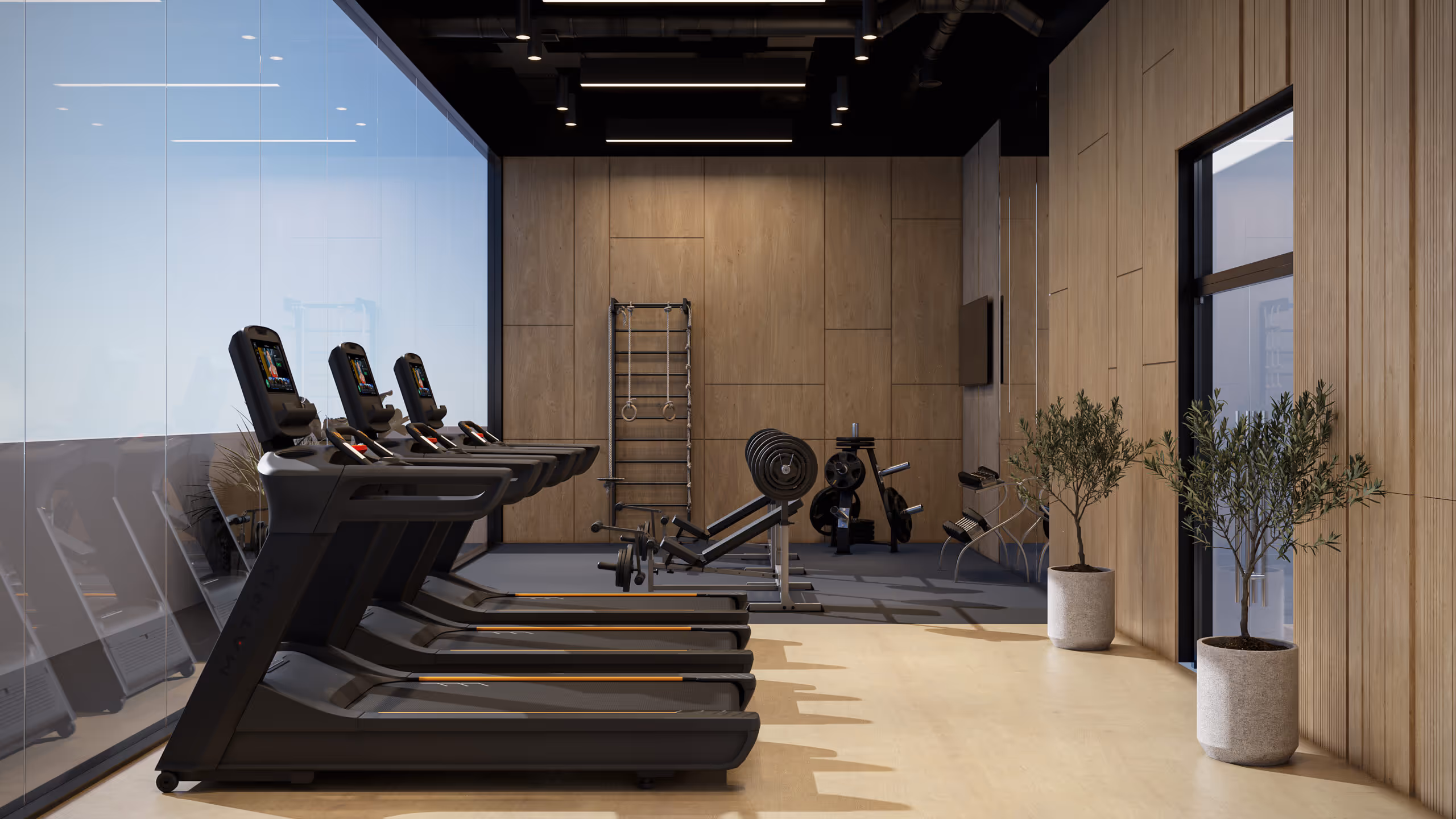 NEXUS DEVELOPER "Estrella"; Nexus Developer; Majan;