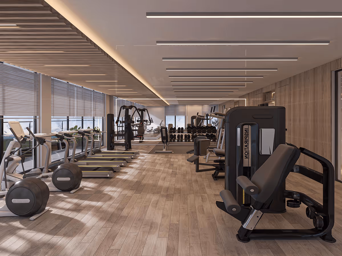 SYNERGY "Amethyst"; Siroya Ventures; Majan;