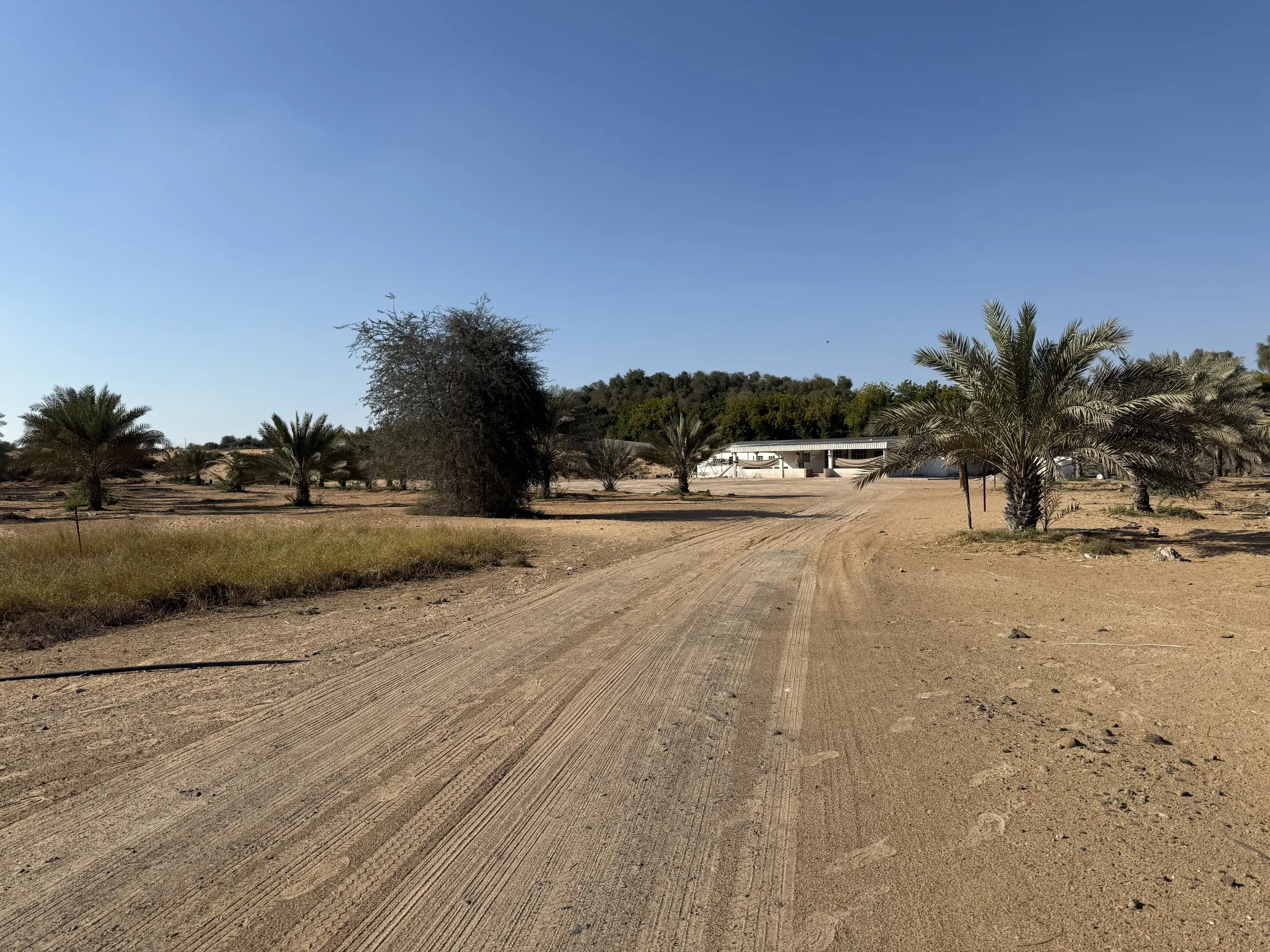 EMIRATES PROPERTIES "Al Zahya H"; Emirates Properties; Al Heliow;