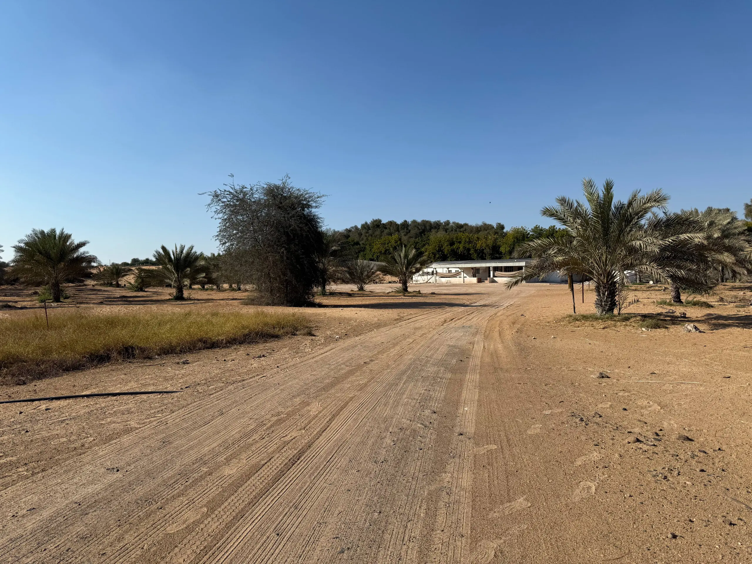 EMIRATES PROPERTIES "Al Zahya K"; Emirates Properties; Al Heliow;