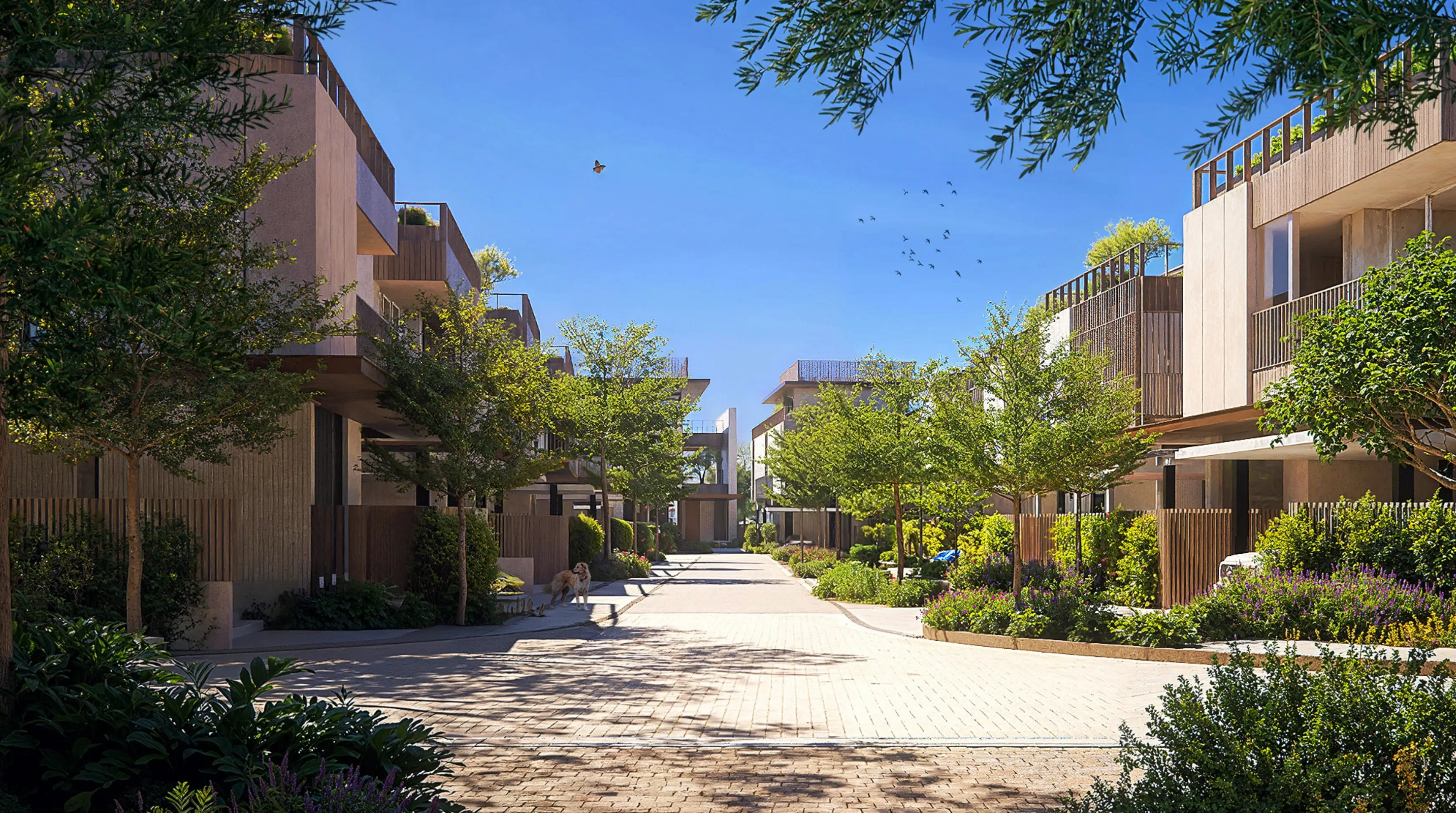 MIRFA IBC DEVELOPMENT "Numa Reserve"; Mirfa IBC Developers; MBR District 11 (Meydan South);