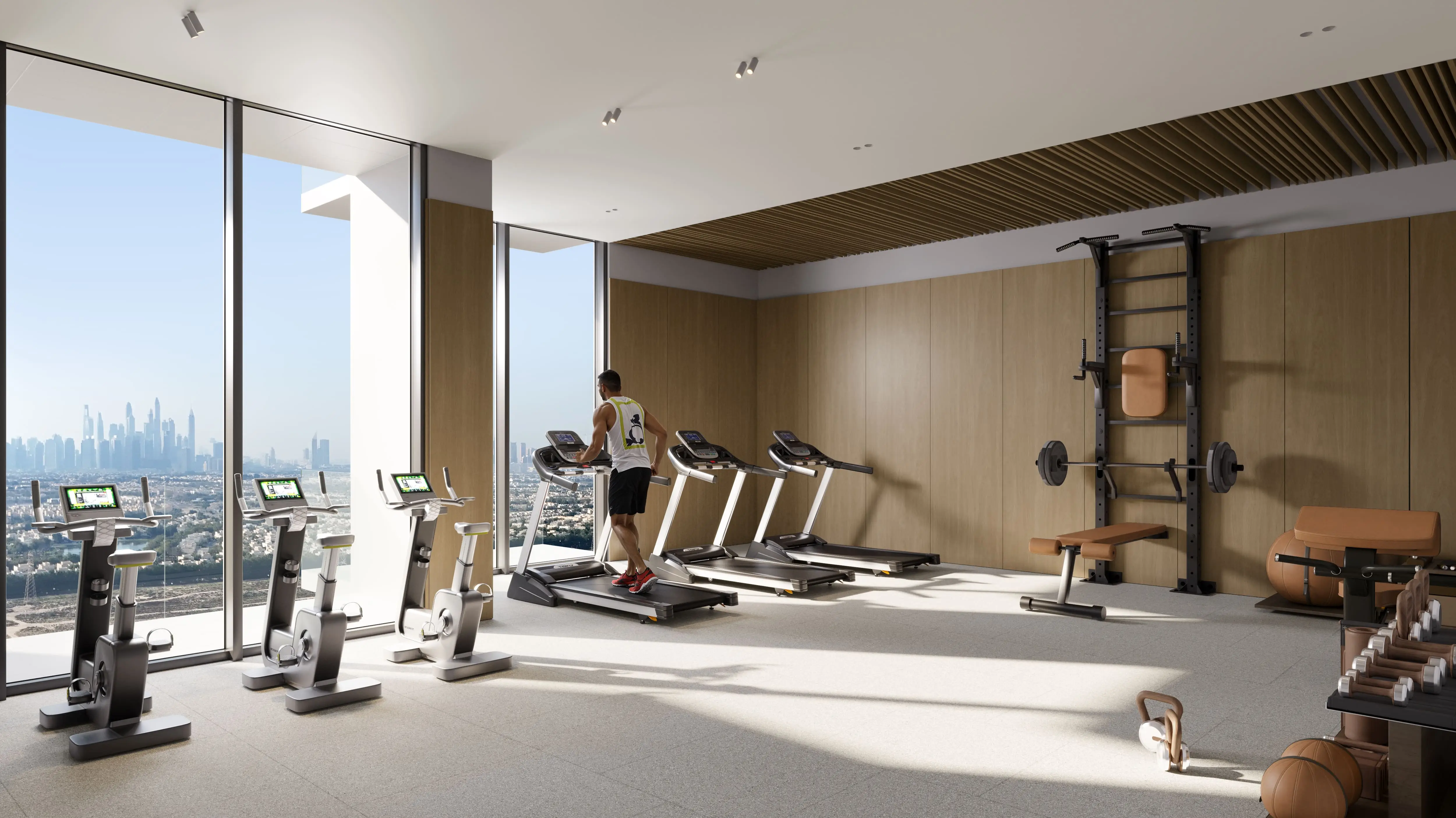 OBJECT 1 "ELAR1S Rise"