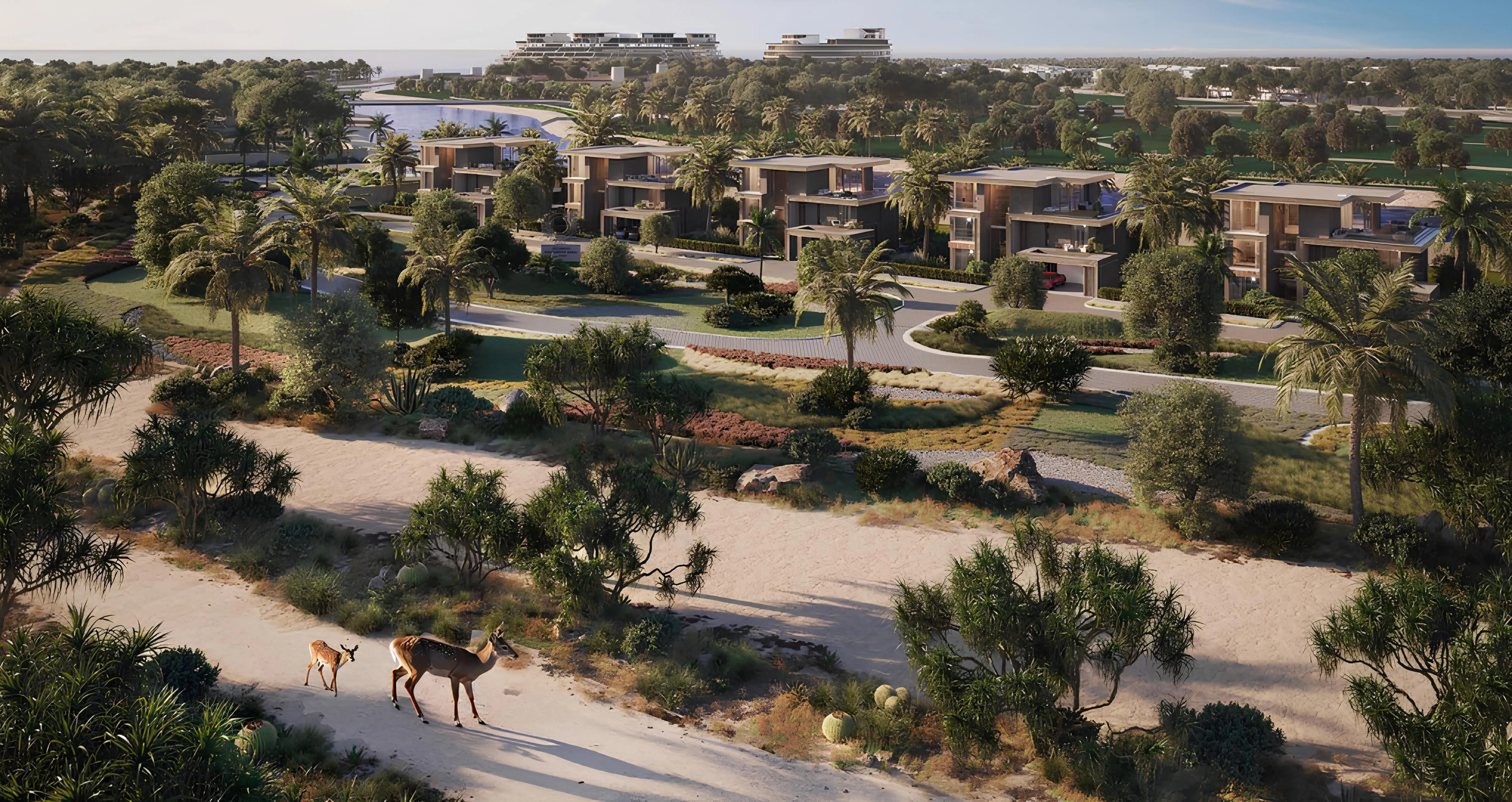 OHANA "Jacob & Co. Beachfront Living by Ohana"