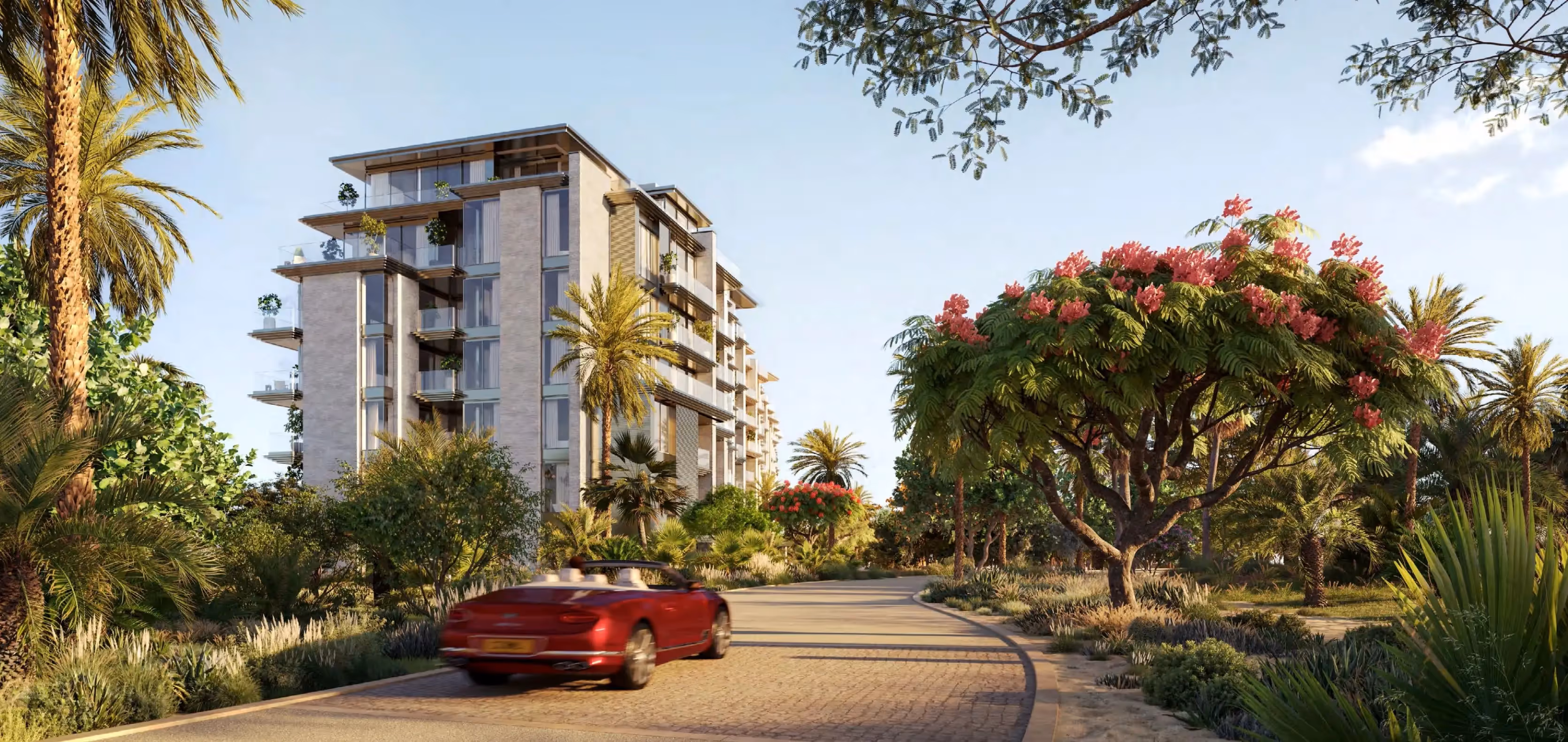 MERAAS "Solaya 7" NEW LAUNCH