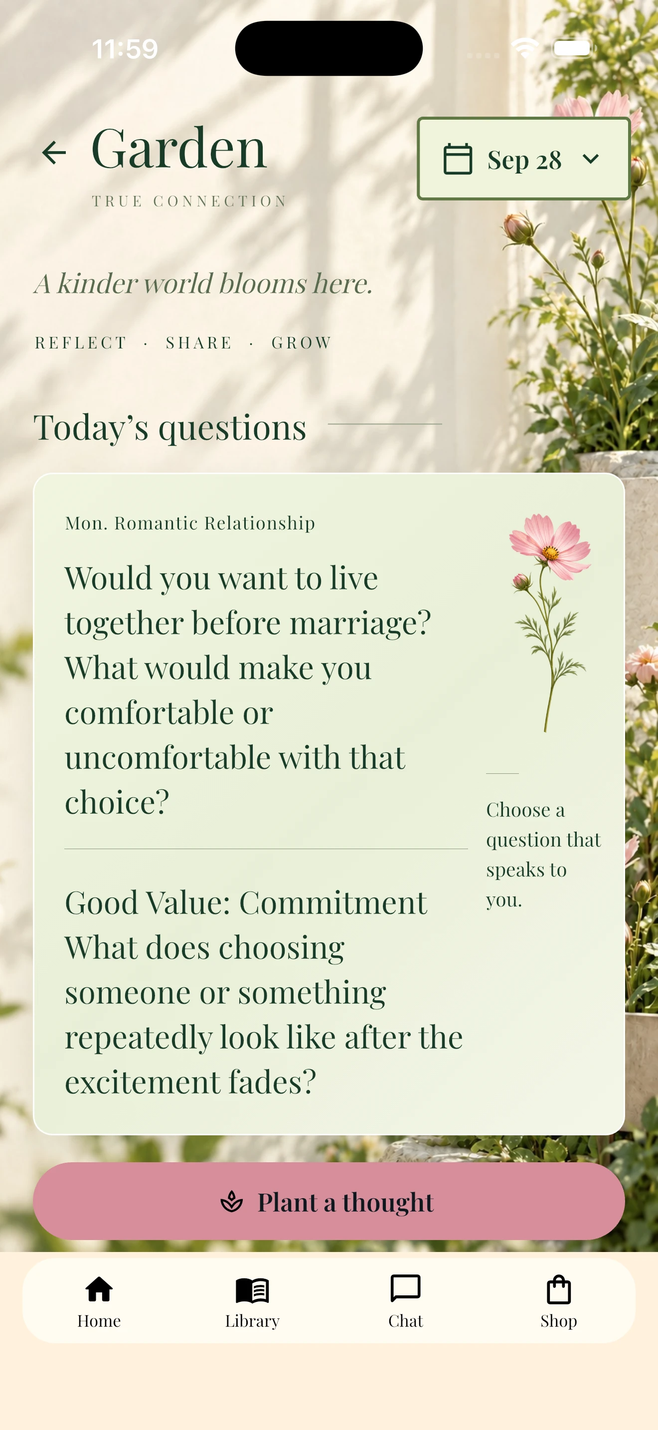 New True Connection Garden screen showing questions about relationships and values