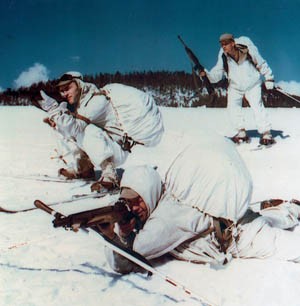 10th Mountain Division in Combat in Italy During World War II