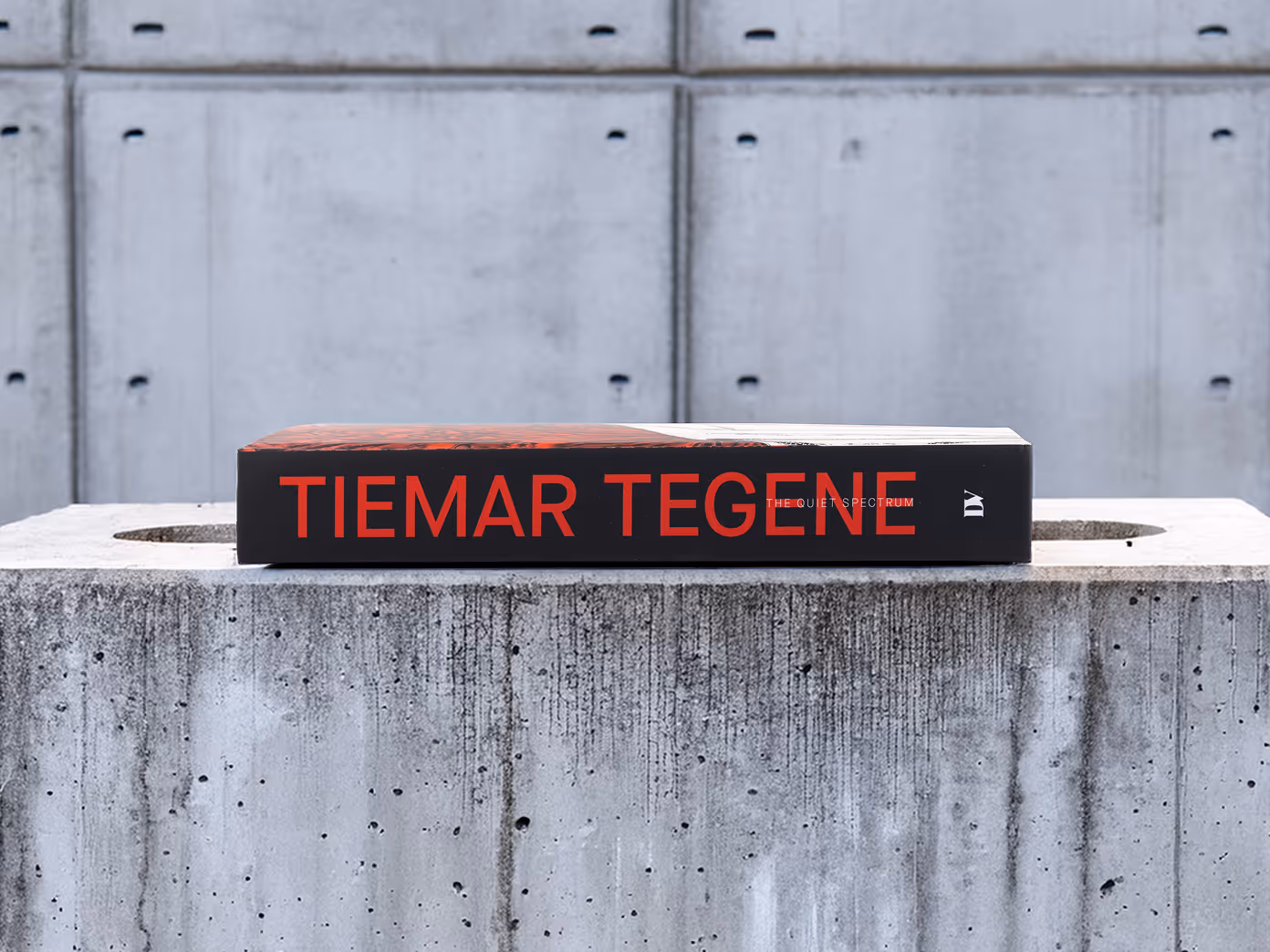 Clean spine shot highlighting the title design in an urban setting.