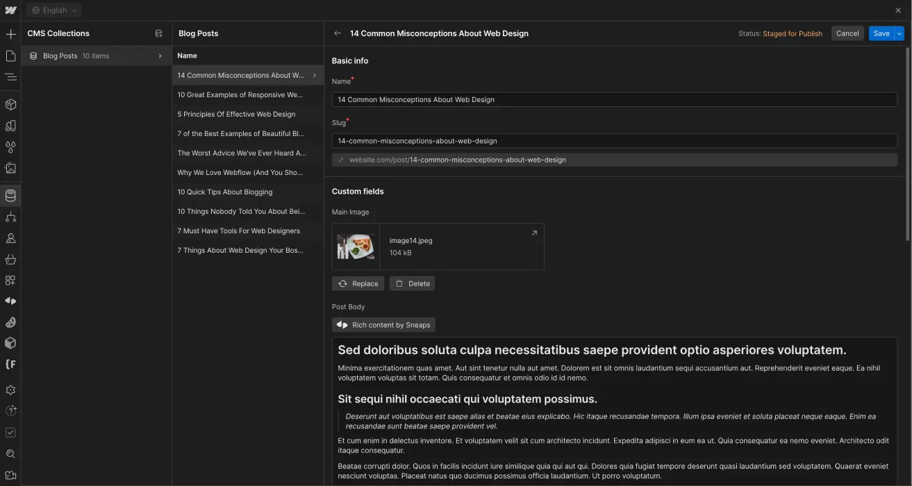 Écran du CMS de Webflow