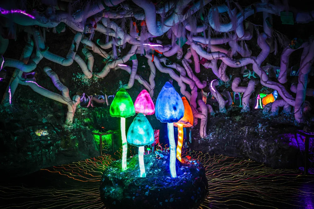 Wake The Tiger space.