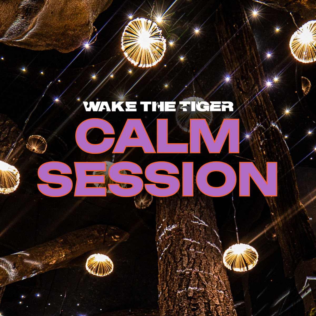 Calm immersive experience forrest set, with woman looking up into the trees and stars.