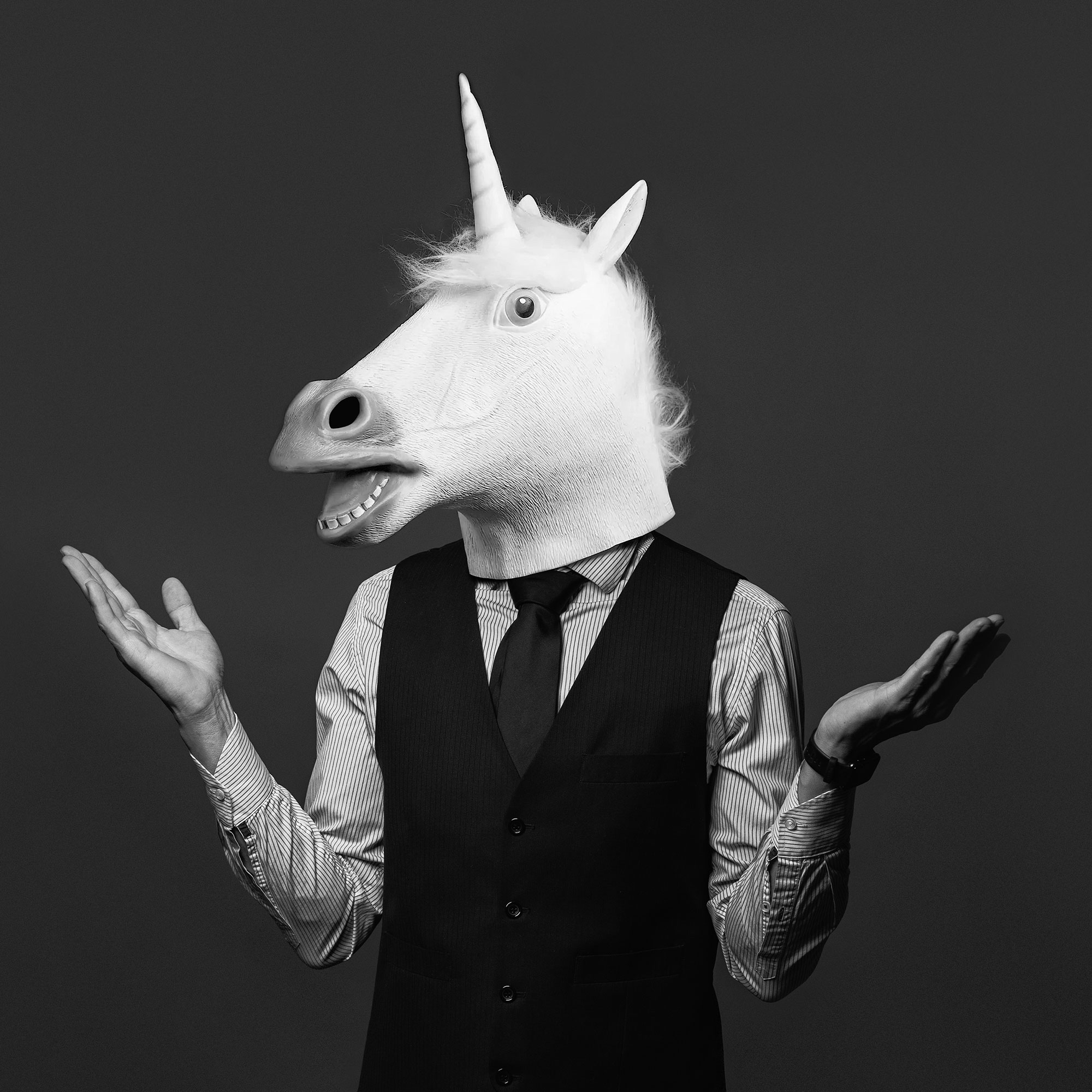 Unicorn boss of the company.