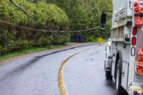 Fallen line on the road
