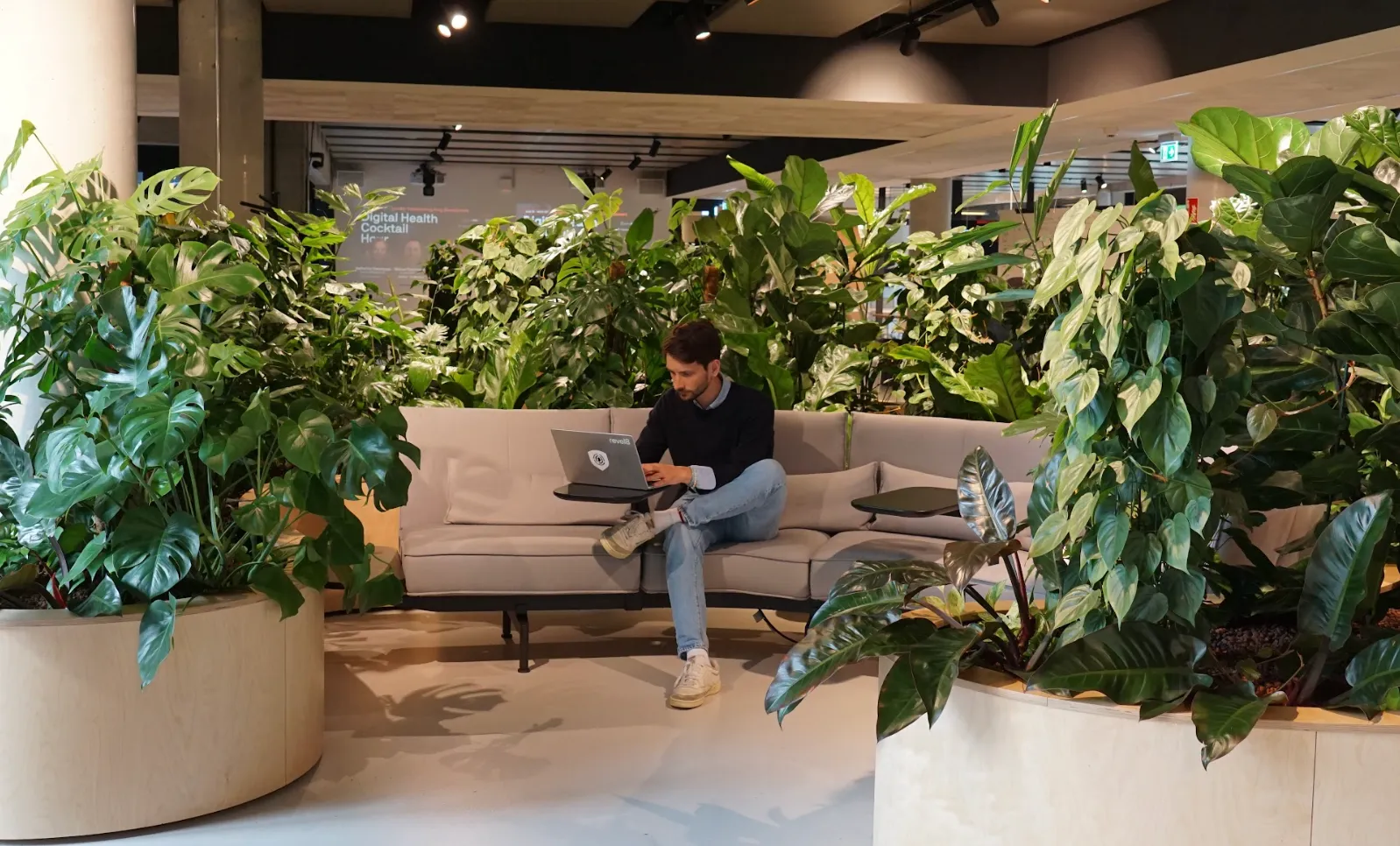 Man sitting cross-legged on a gray couch in a modern office space surrounded by large green plants, working on a laptop.