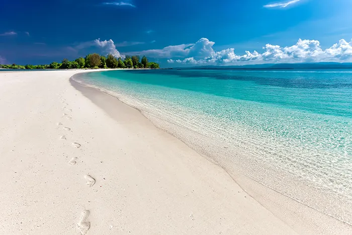 Honeymoon mit Voyage en Vogue