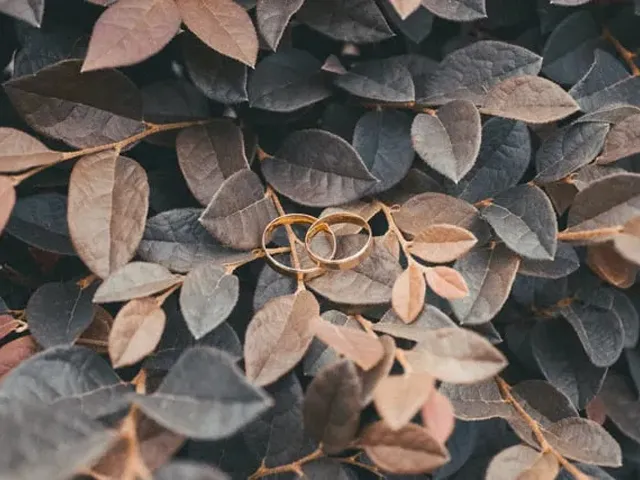 Tipps für eine nachhaltige Hochzeit