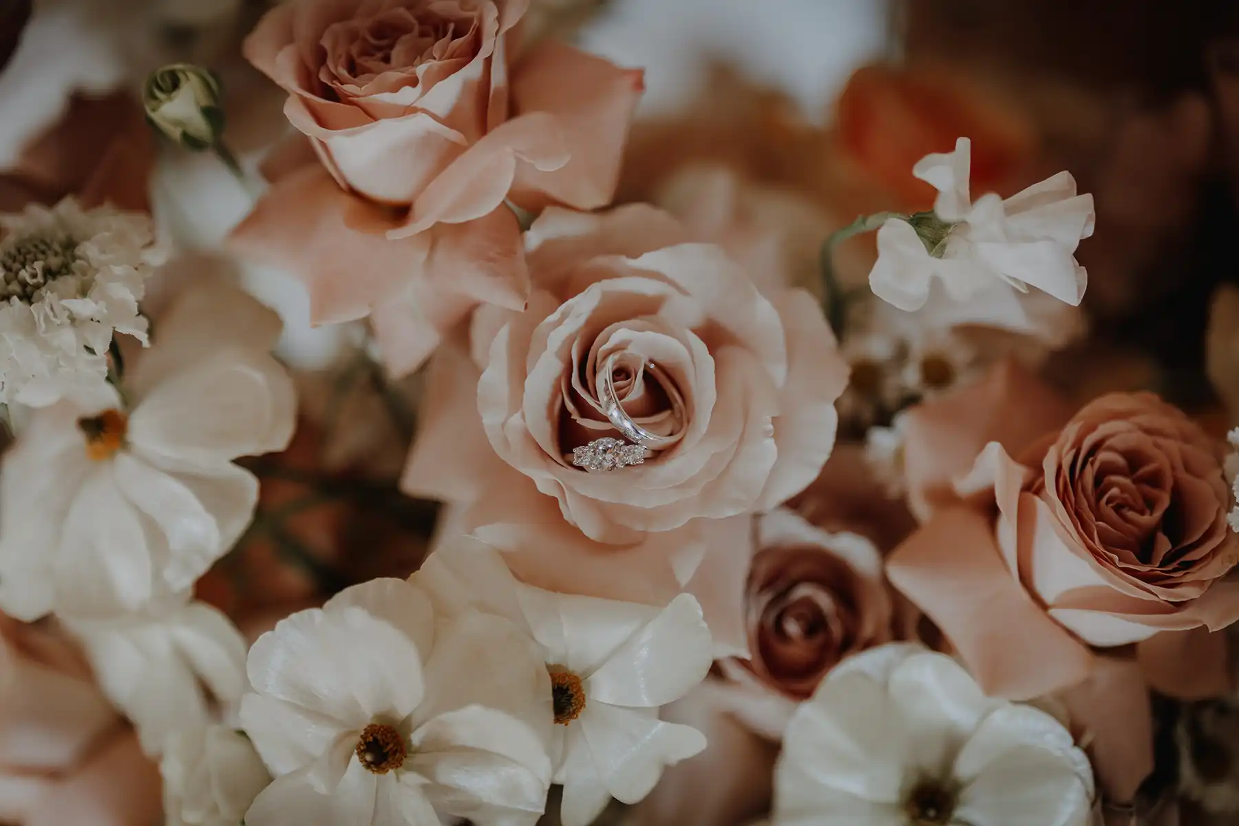 Daisy Love: Florale Leichtigkeit im Grandsberger Hof